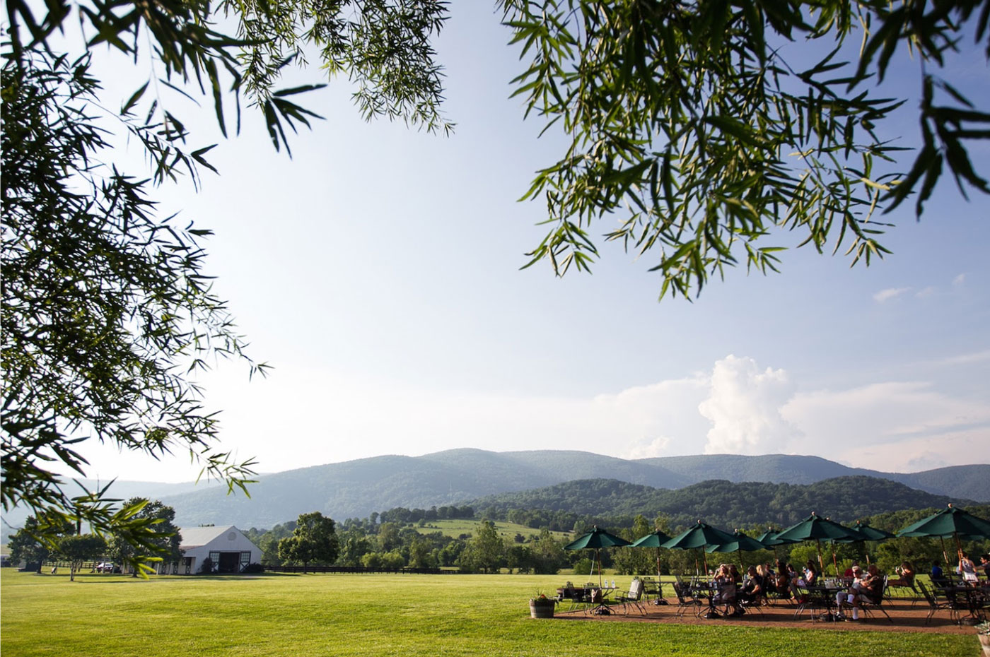 Visit King Family Vineyards