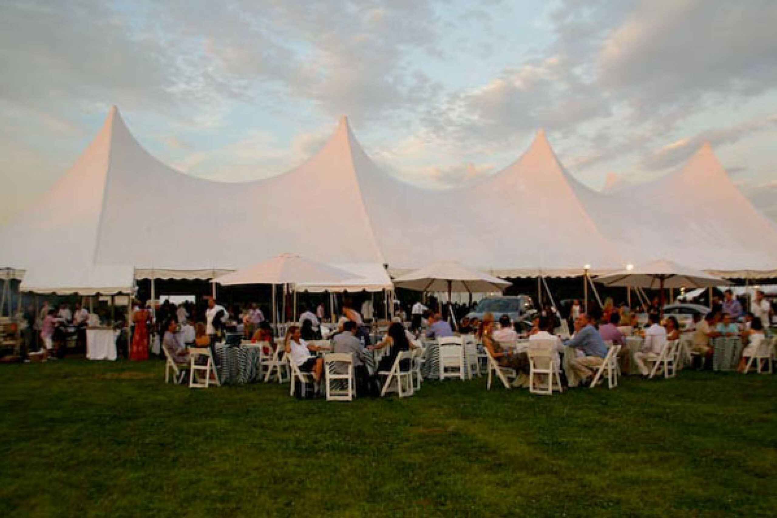 Roseland Polo King Family Vineyards