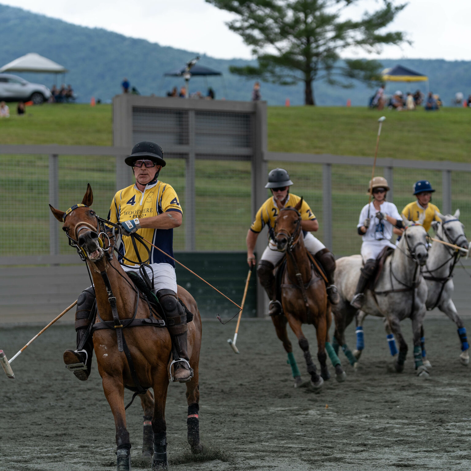 Roseland Polo King Family Vineyards