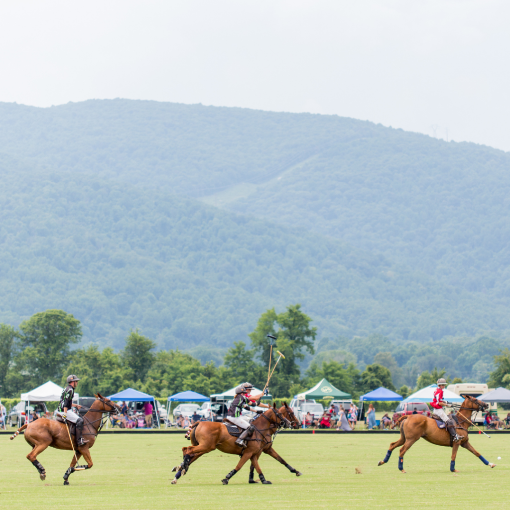 Polo matches at winery near Charlottesville, Virginia, King Family Vineyards