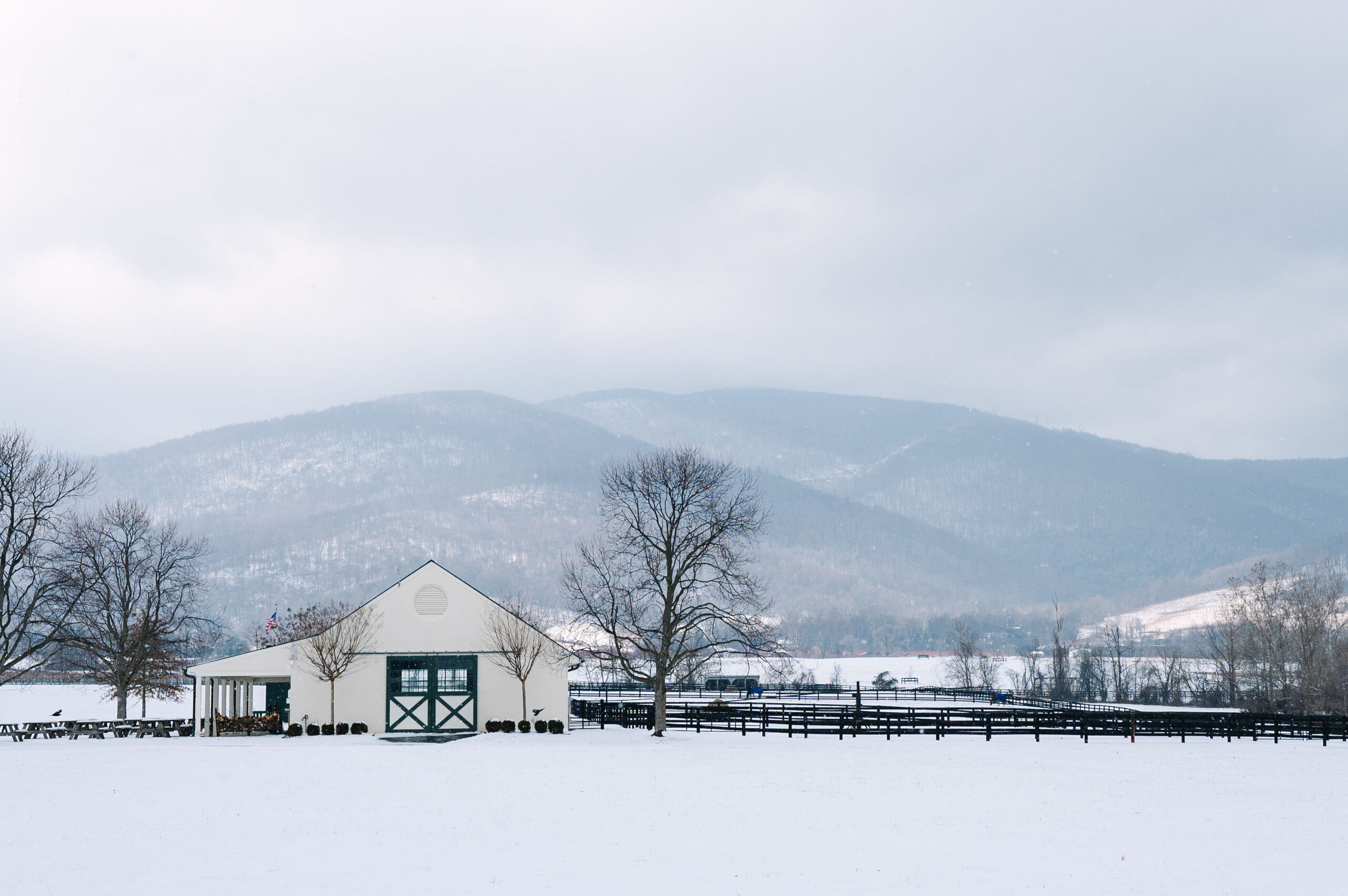 snow-polo-barn